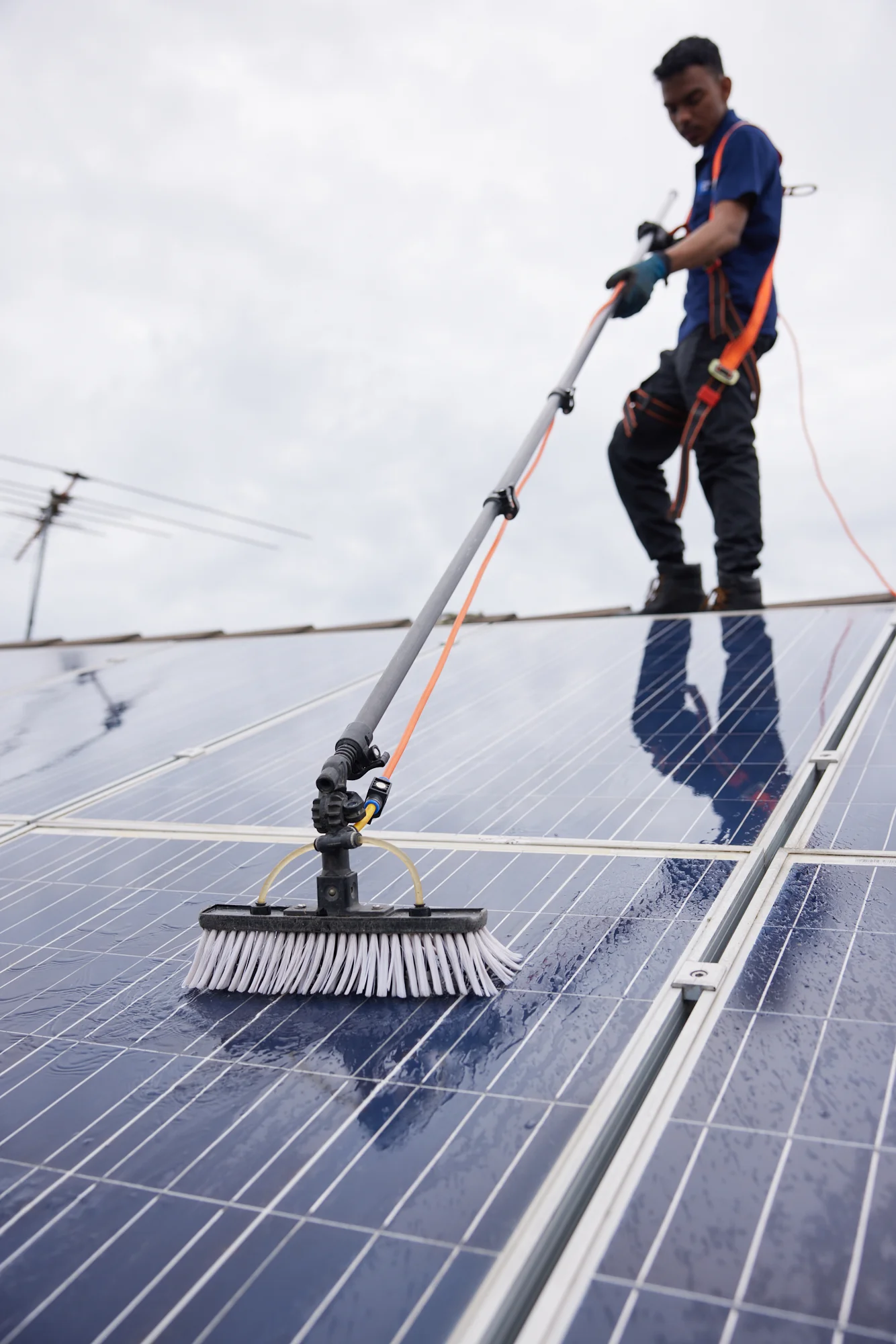 Technician soft-washing solar panels with a water-fed pole